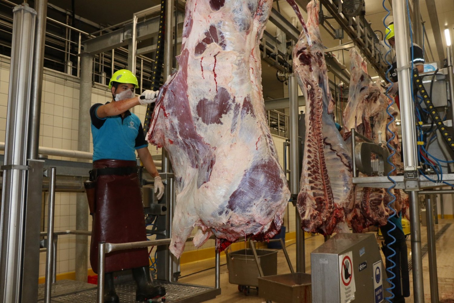 Kurban Kesim Başvuruları 11 Mayıs’ta Başlıyor