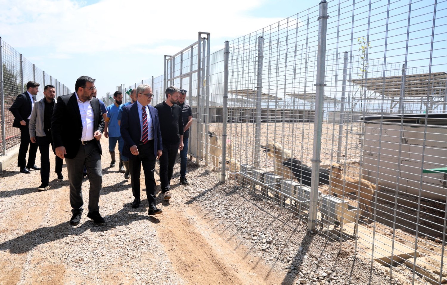 Umuttepe’de 650 Köpek Kapasiteli Yeni Barınak Hizmete Alındı